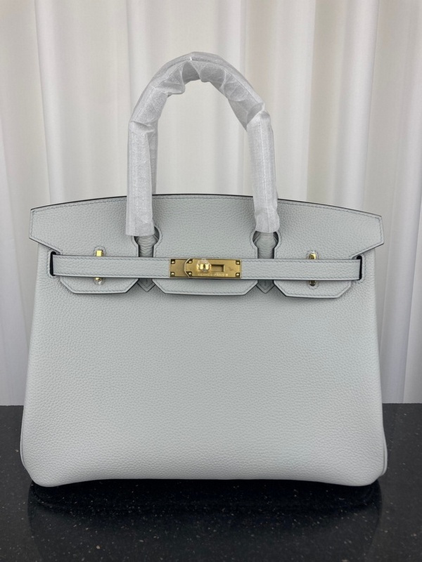 Hermes Handbags 41